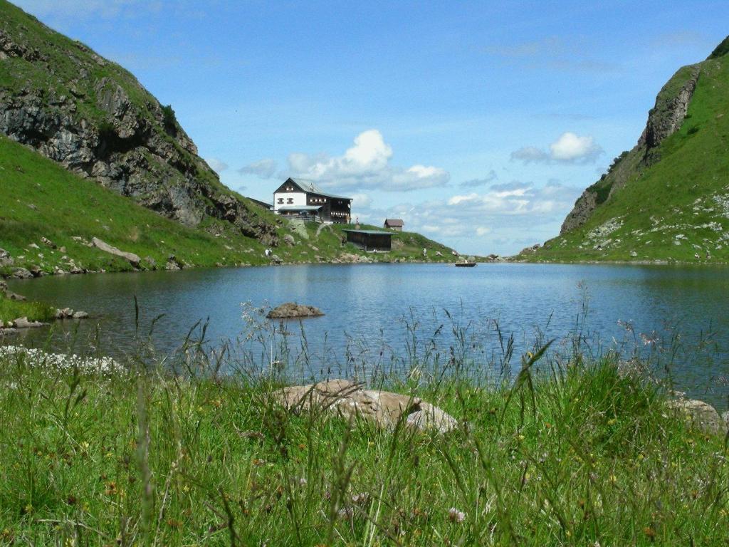 Příroda nedaleko apartmánu