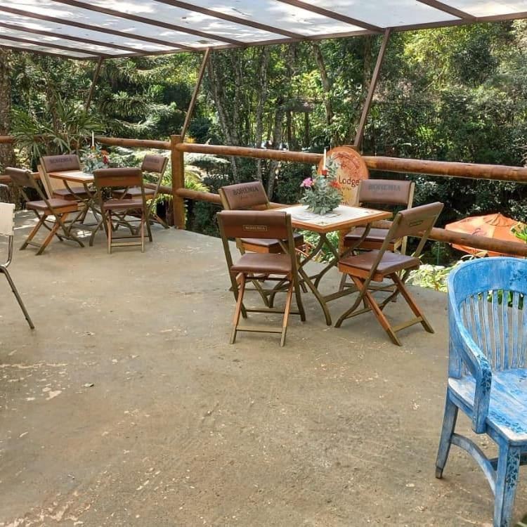 EcoLodge Hostel