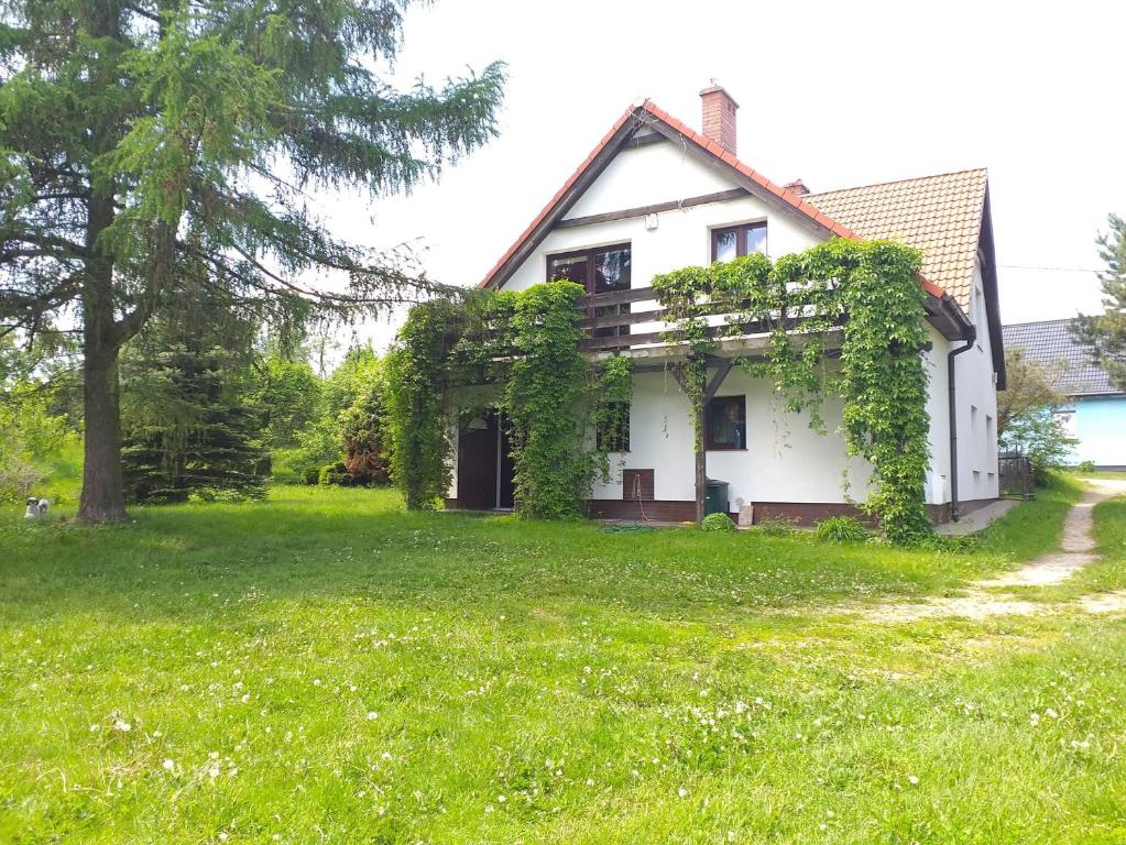 a house with ivy growing on the side of it at Dom na Mazurach Jeziorna in Miłki