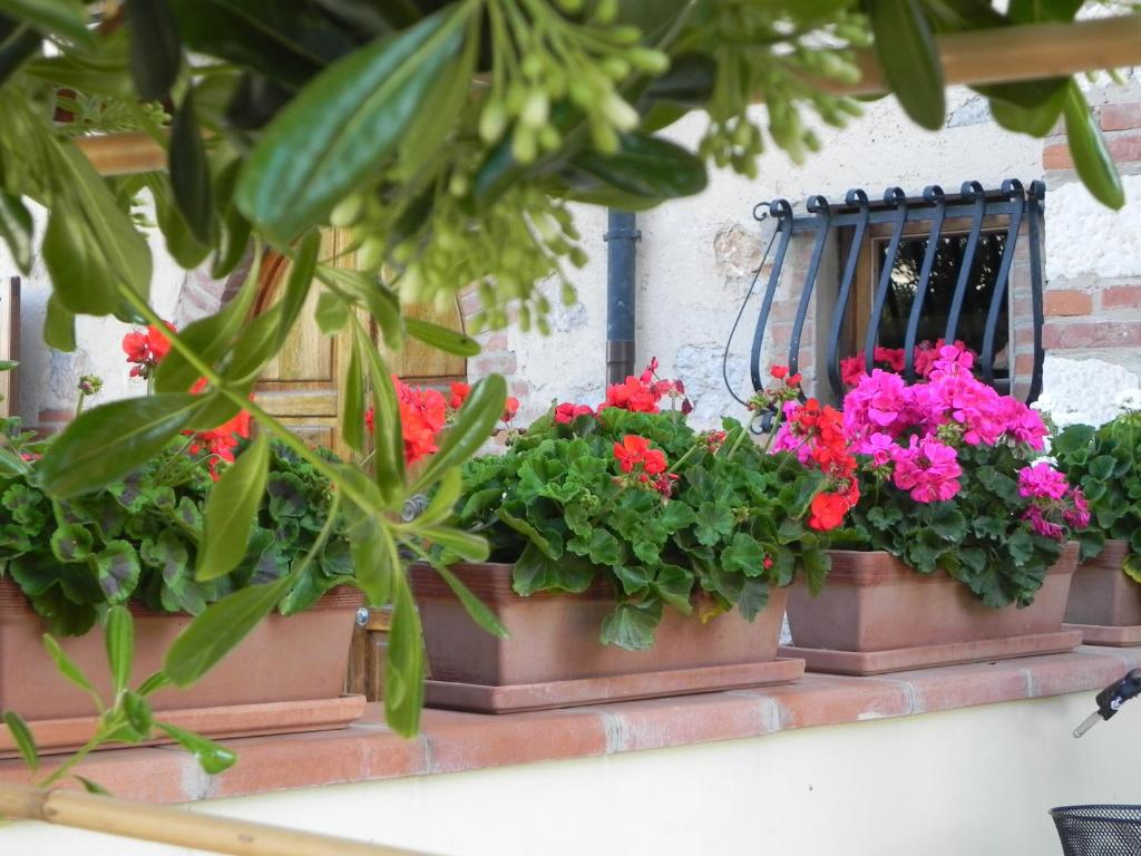 A garden outside Villa Il Fortino