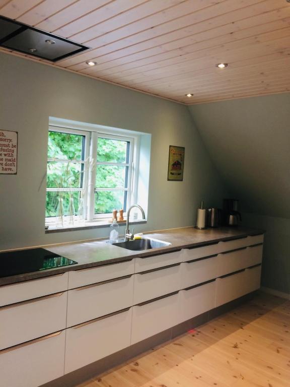 Kuchyň nebo kuchyňský kout v ubytování Billund Holiday - Assengaard B & B