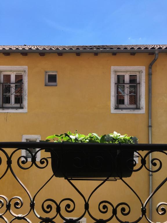 Epicerie Vieille du Puy en Velay - 11