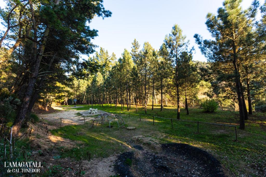 Fotografie z fotogalerie ubytování El Niu - L'Amagatall de Cal Tonedor Guest House v destinaci Vallgorguina