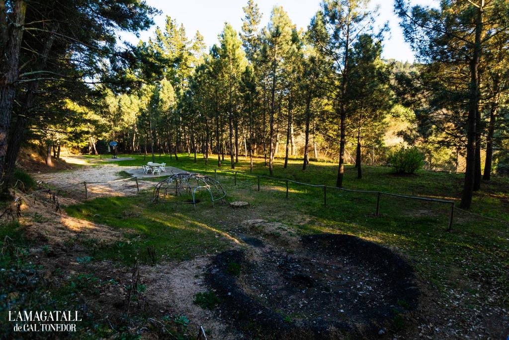 Fotografie z fotogalerie ubytování El Niu - L'Amagatall de Cal Tonedor Guest House v destinaci Vallgorguina