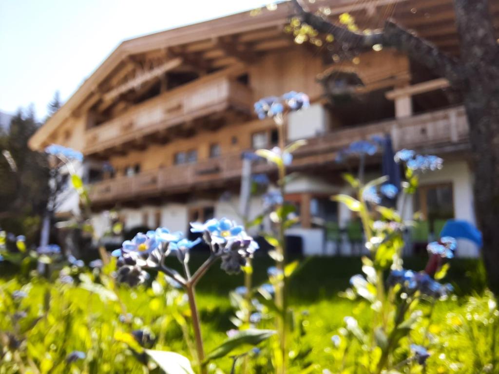 Vonkajšia záhrada v ubytovaní Landhaus Knaus