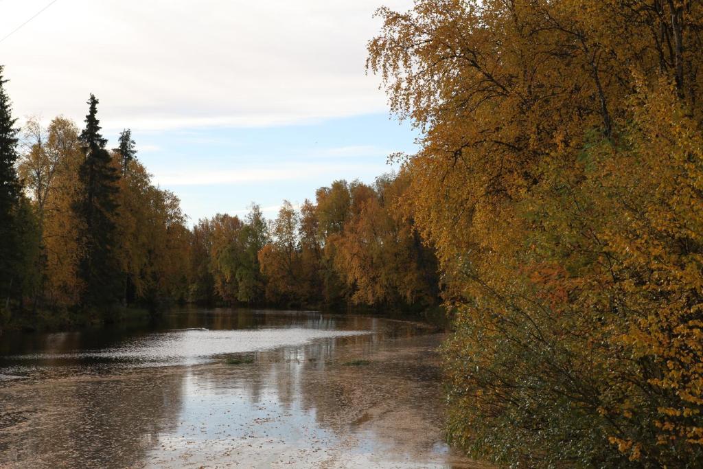 a river in the middle of a forest at Wilderness Hotel Nellim & Igloos in Inari