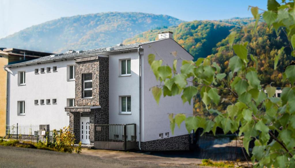 a white house with a mountain in the background at Penzion Malina in Hronská Dúbrava