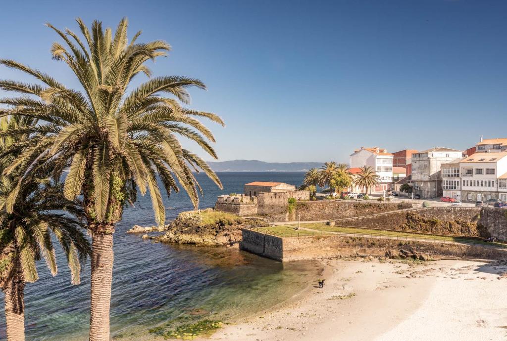 una palmera en una playa junto al agua en Apartamento con vistas al mar en Fisterra, en Finisterre