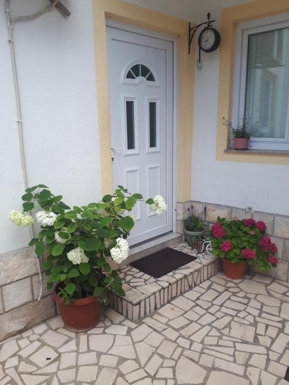 Zahrada ubytování Hostel Miran Mostar