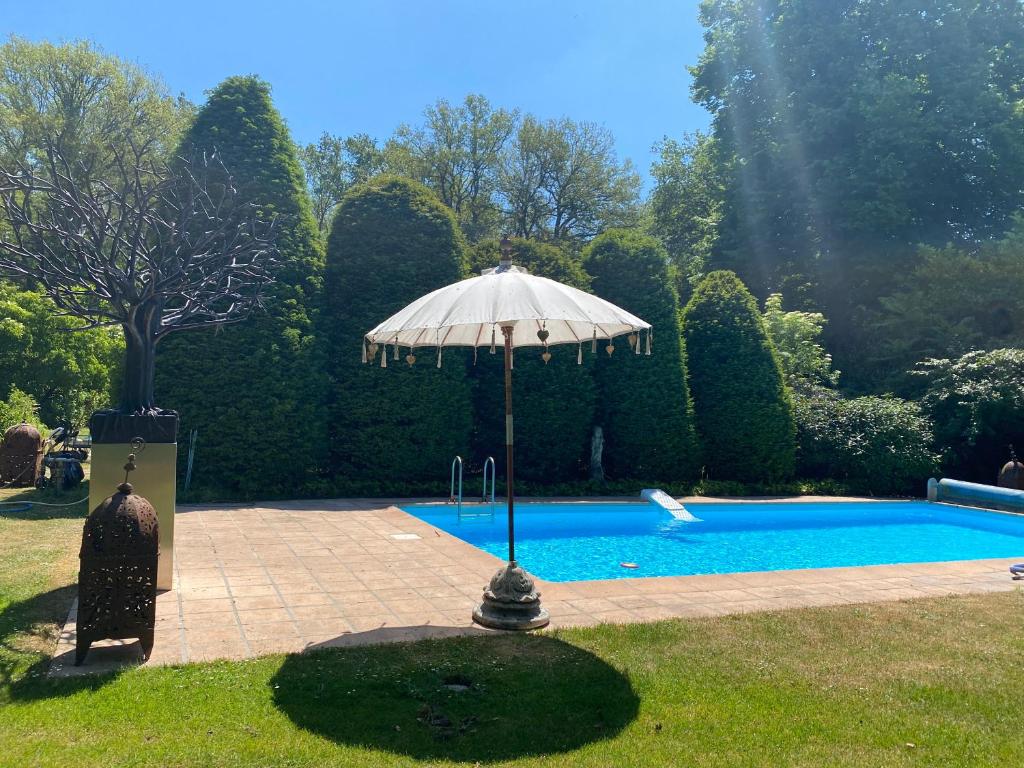 een parasol in het gras naast een zwembad bij Villa de Nachtegaal in Naarden