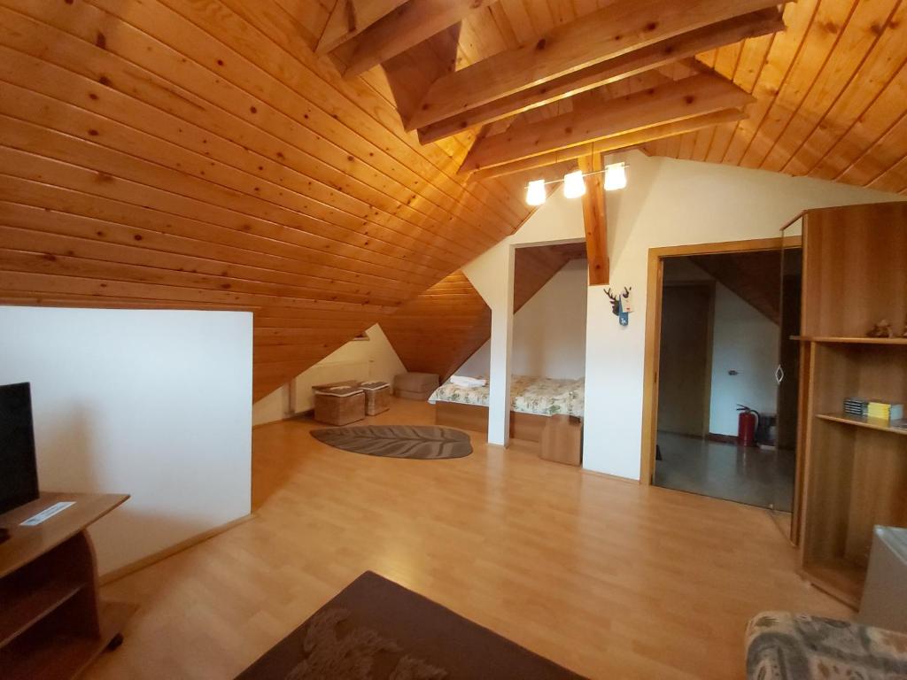 TV a/nebo společenská místnost v ubytování Camere de inchiriat Cascada