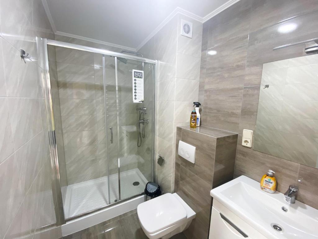 Мансардні апартаменти в центрі міста - Appartement Met één Slaapkamer