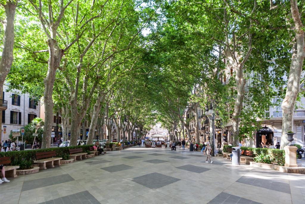 Nivia Born Boutique Hotel, Palma de Mallorca – Bijgewerkte ...
