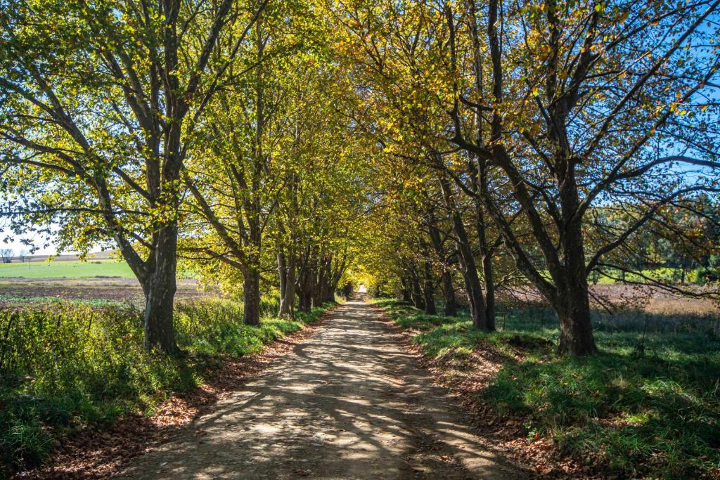 Paesaggio naturale nelle vicinanze del bed & breakfast