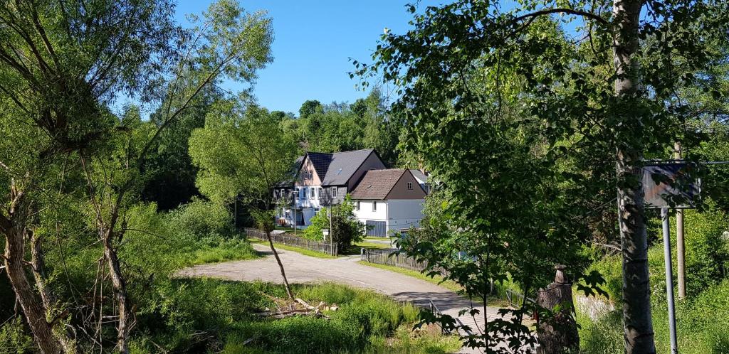 una casa en medio de una carretera con árboles en Naturferienhaus Luppbodemühle, en Allrode