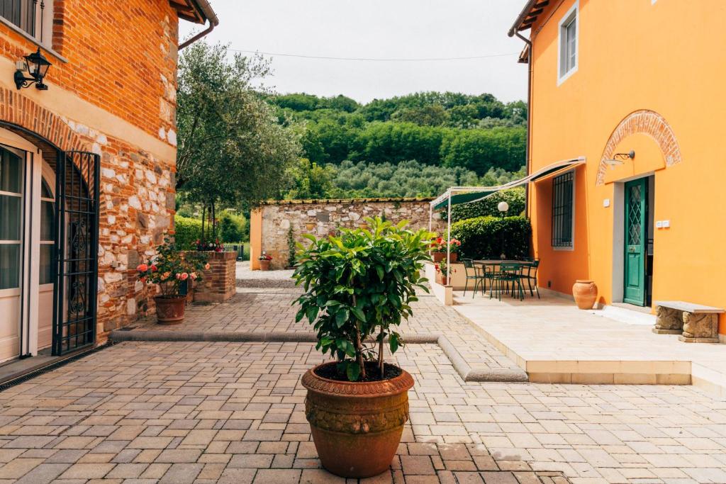Vonkajšia záhrada v ubytovaní Tenuta San Giovanni Lucca - Borgo del Locumone