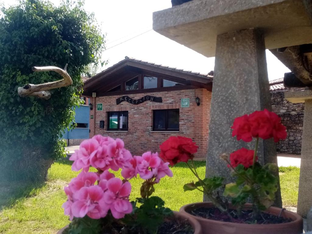 a group of flowers in front of a house at Hotel Rural Posada Del Monasterio in Cangas de Onís