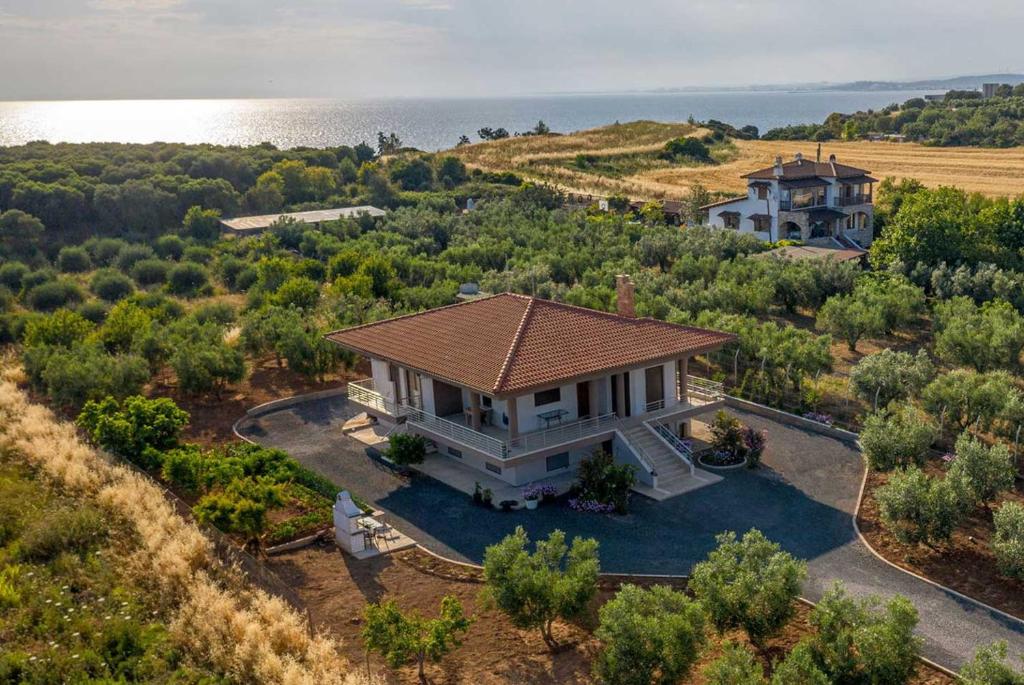 Флогита Кассандра
