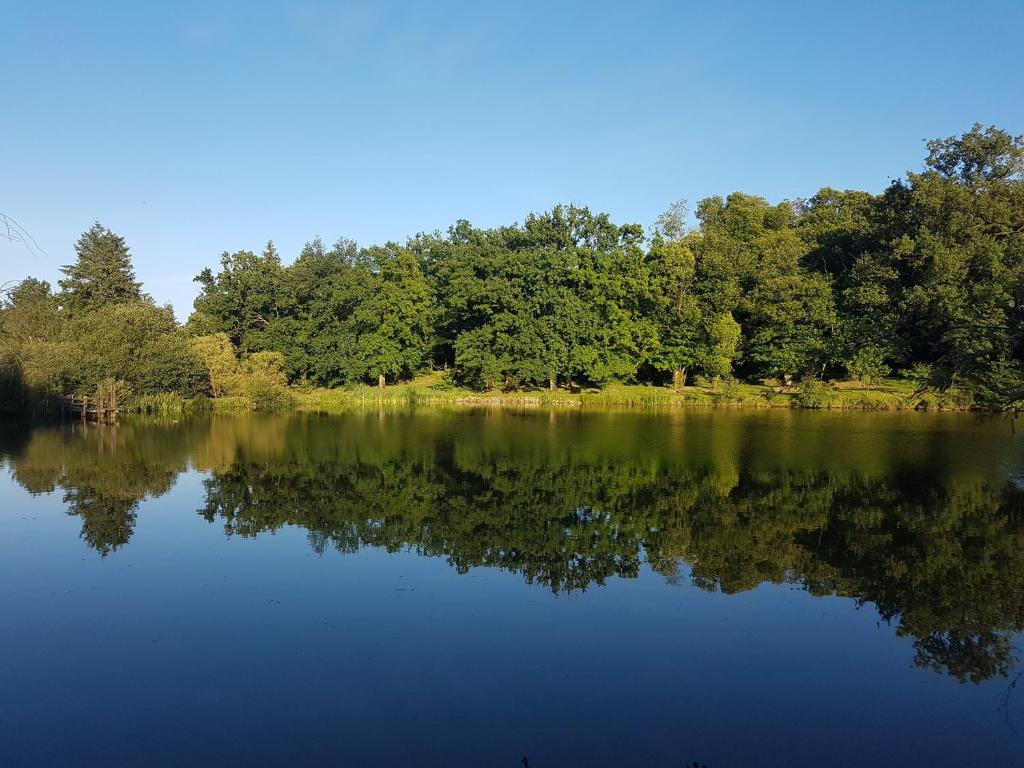 uma vista para um lago com árvores ao fundo em camping de la chagnée em Saint-Aubin-le-Cloud