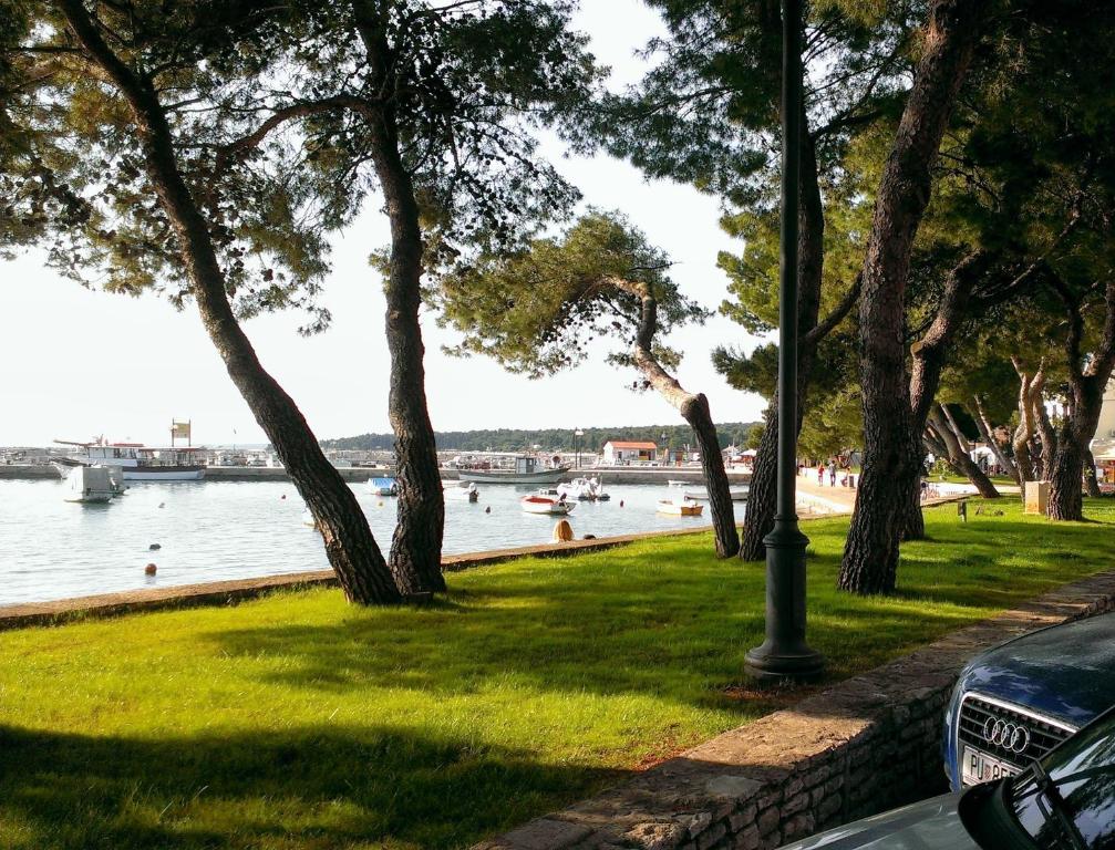 Príroda v okolí apartmánu