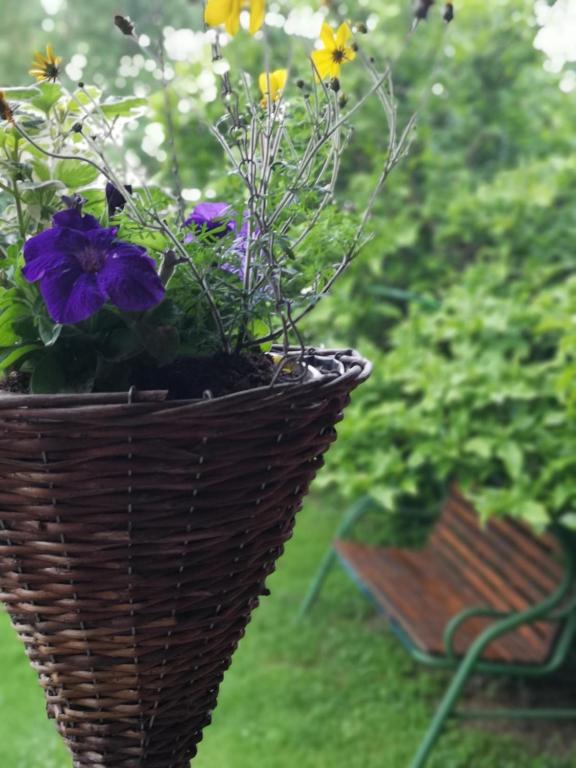 Apartman Anđela - 10