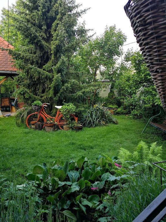 Apartman Anđela - 11