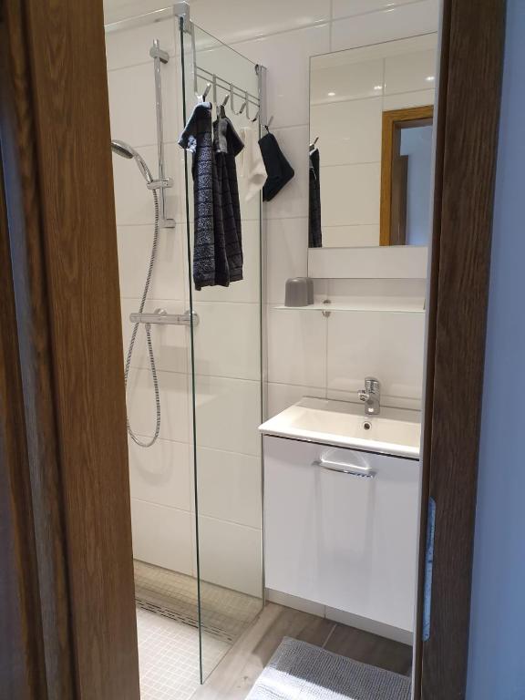 a bathroom with a shower and a sink and a mirror at Mosel-Ina in Bullay