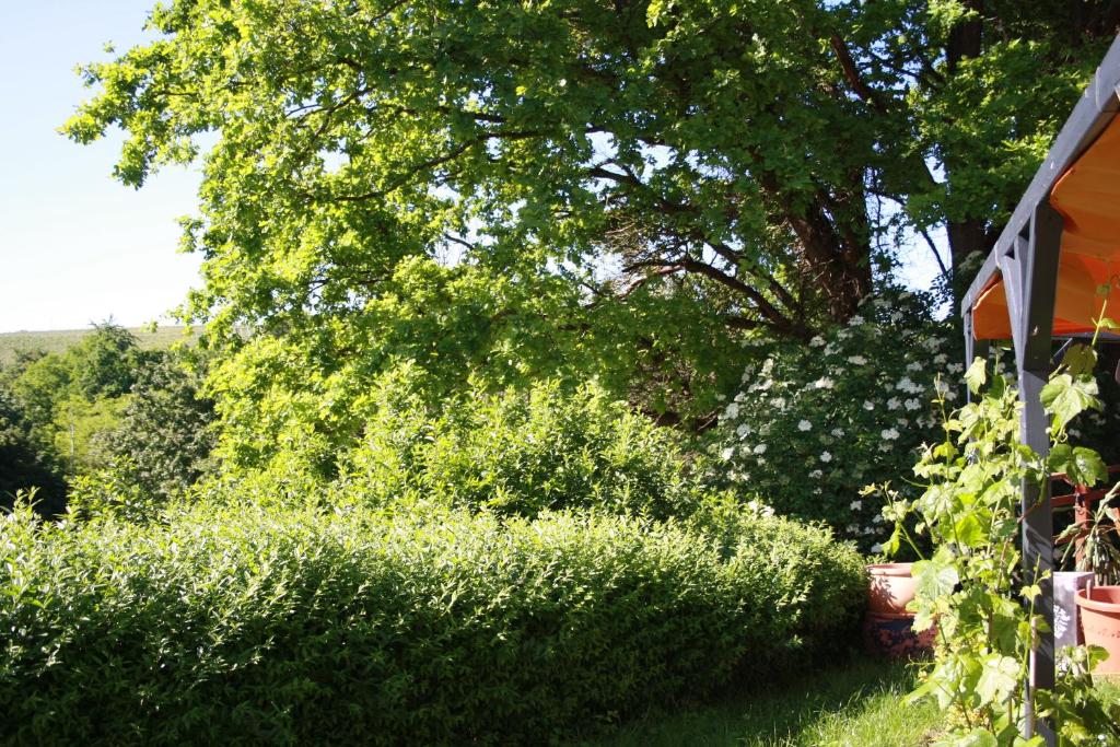Zahrada ubytování 2 Zimmer FeWo mit Außenpool und Sauna