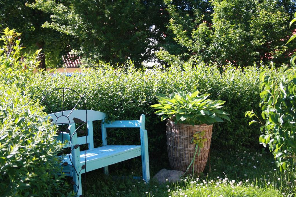 Zahrada ubytování 2 Zimmer FeWo mit Außenpool und Sauna