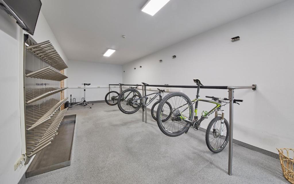 Jízda na kole v ubytování Hotel Schachner nebo okolí