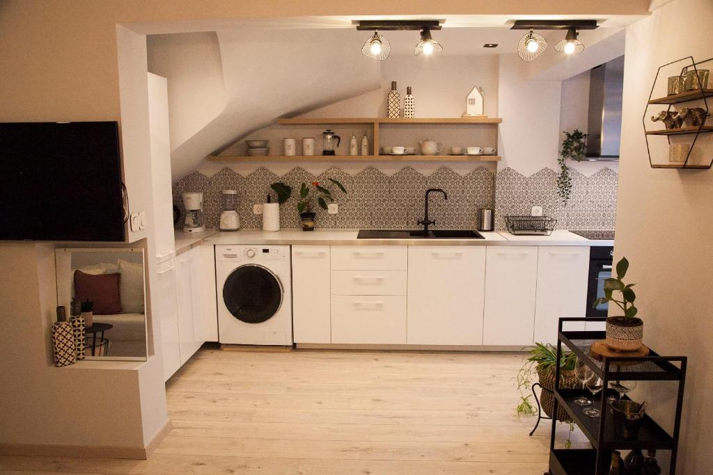 Kuchyň nebo kuchyňský kout v ubytování Stylish Modern Maisonnette