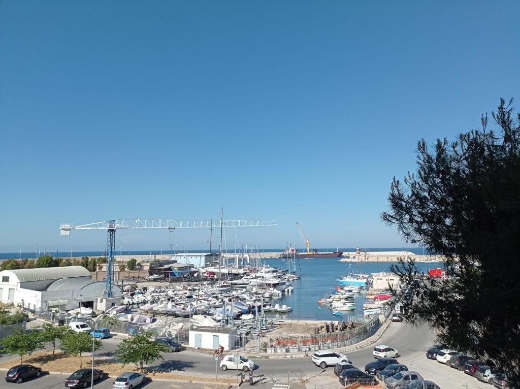 Príroda v okolí apartmánu
