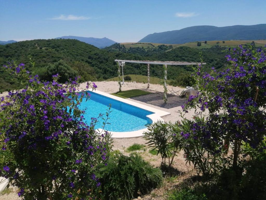 Villa with 3 bedrooms in Algar with private pool enclosed ...
