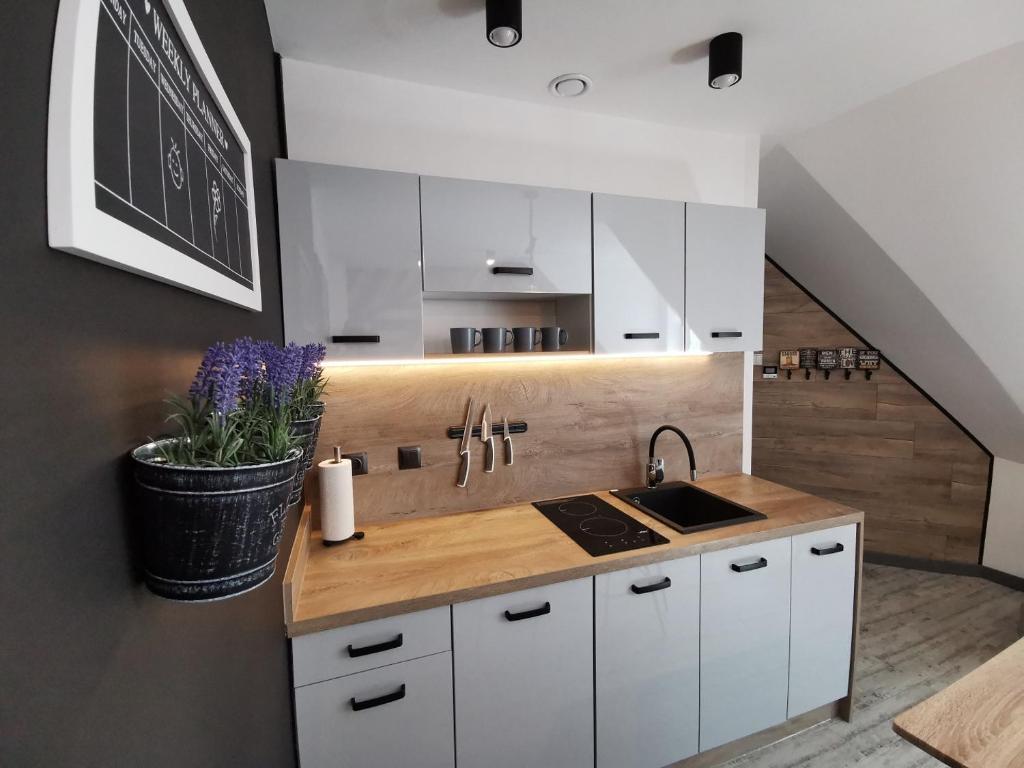 Kuchyňa alebo kuchynka v ubytovaní Apartamenty Majówka