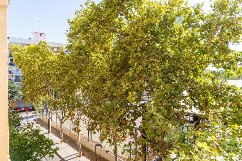 MD Horticultor Galán, Valencia – Updated 2023 Prices