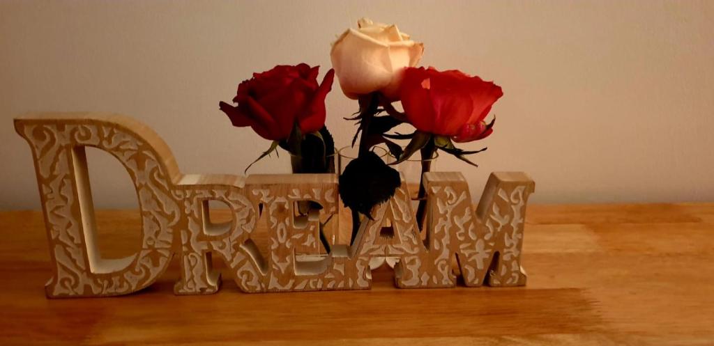 two roses in a vase with the word love at Brasov Studio in Braşov