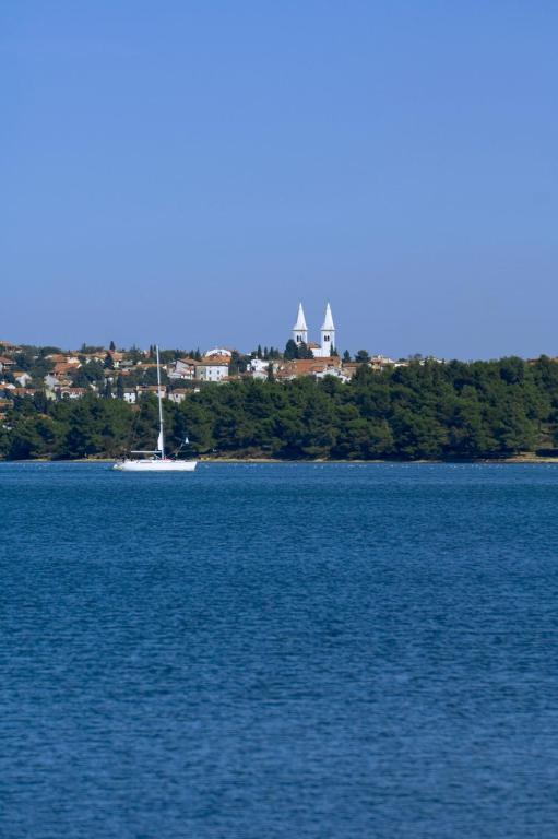 Przyroda w pobliżu tego apartamentu