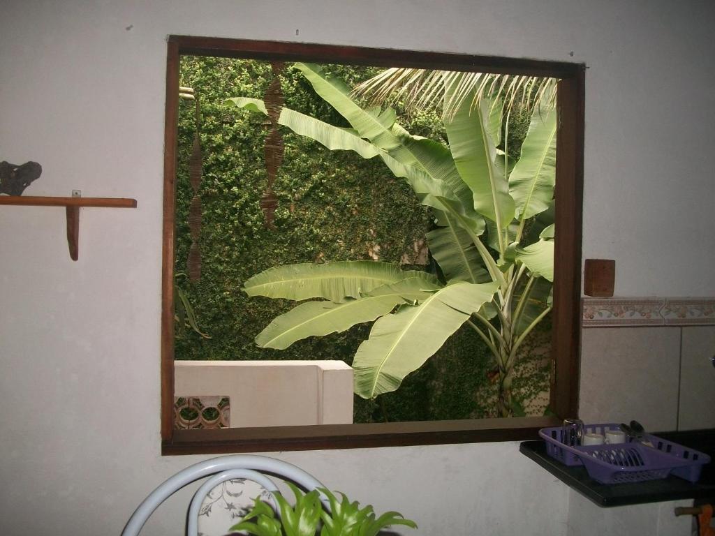  Casa da Jaca 1