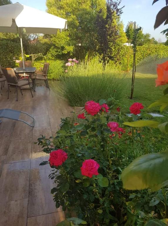 a garden with red roses and a table and chairs at Apartman Corluka Grude in Grude