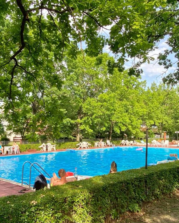 a group of people sitting in a swimming pool at Napsugár Retro Apartman in Gárdony