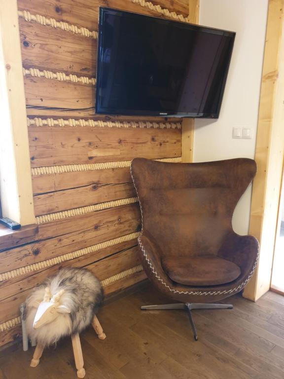 a cat laying on the floor next to a chair and a television at Izba w centrum miasta in Zakopane
