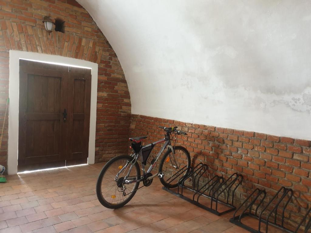 Jízda na kole v ubytování Apartmány in Veritas nebo okolí