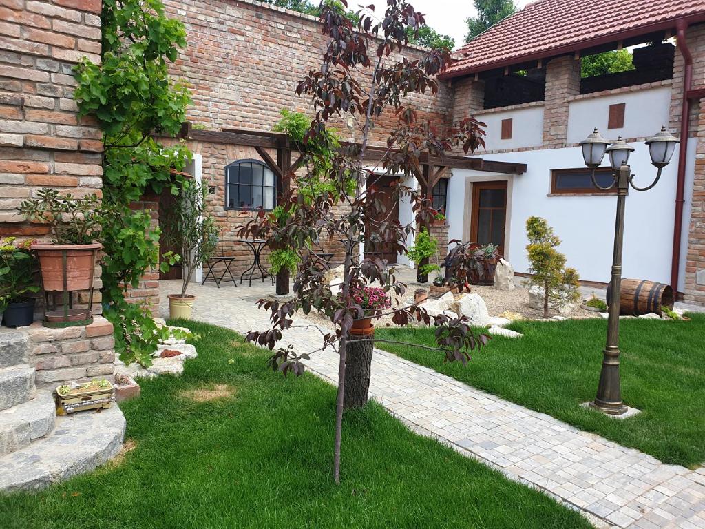Zahrada ubytování Apartmány in Veritas
