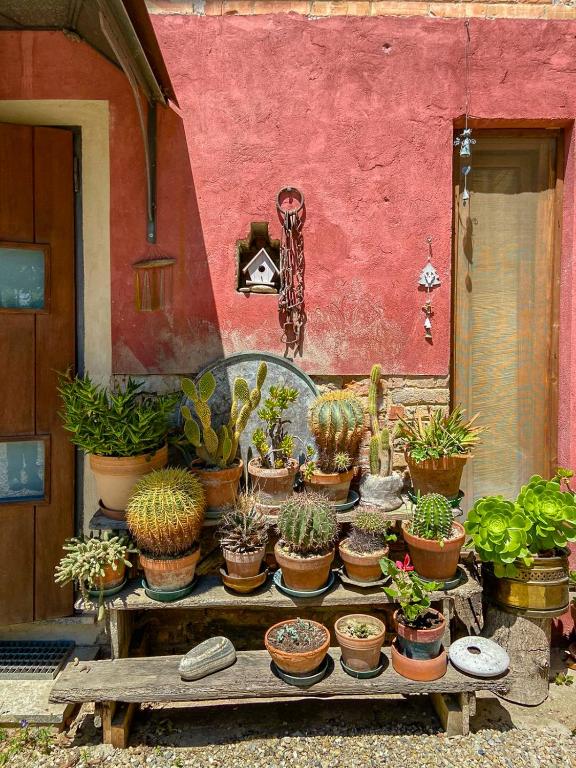 A garden outside B&B Sant'Anna 21