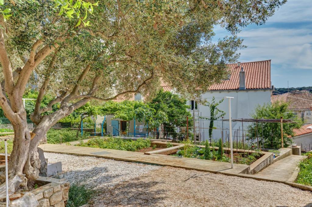 a garden in front of a house with a tree at Apartment DAMI in Mali Lošinj