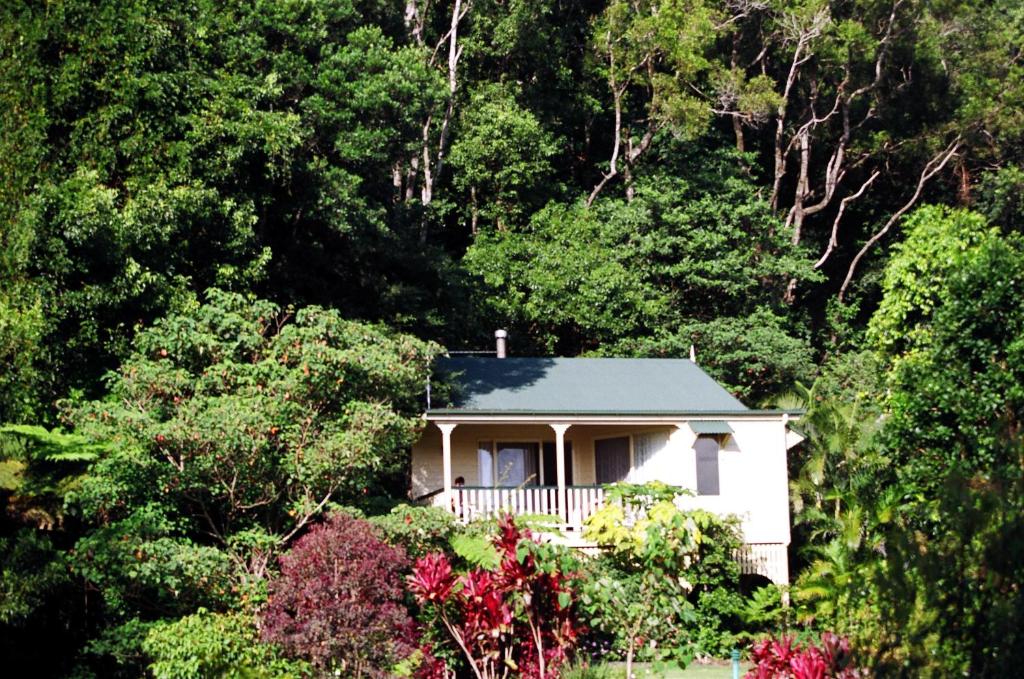 uma casa branca no meio de uma floresta em The Falls Montville em Montville