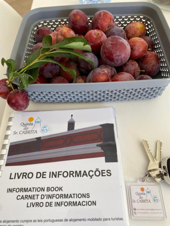 Quinta do Sr. Cabrita - 18