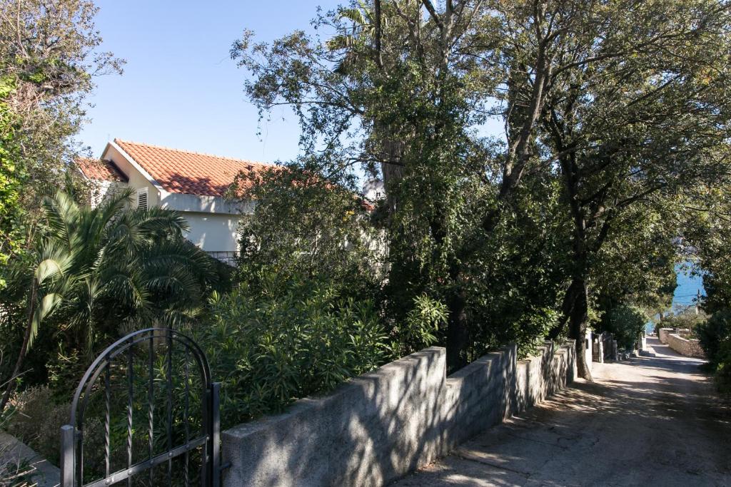 Príroda v okolí penziónu