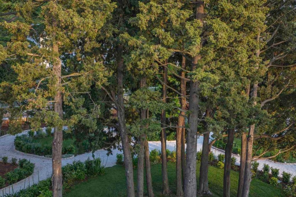 Zahrada ubytování Borgo dei Lecci Puglia