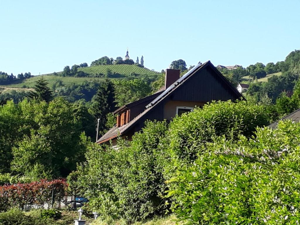 una casa al lado de una colina con árboles en Komfortzimmer Haus Dervaritz, en Einöd